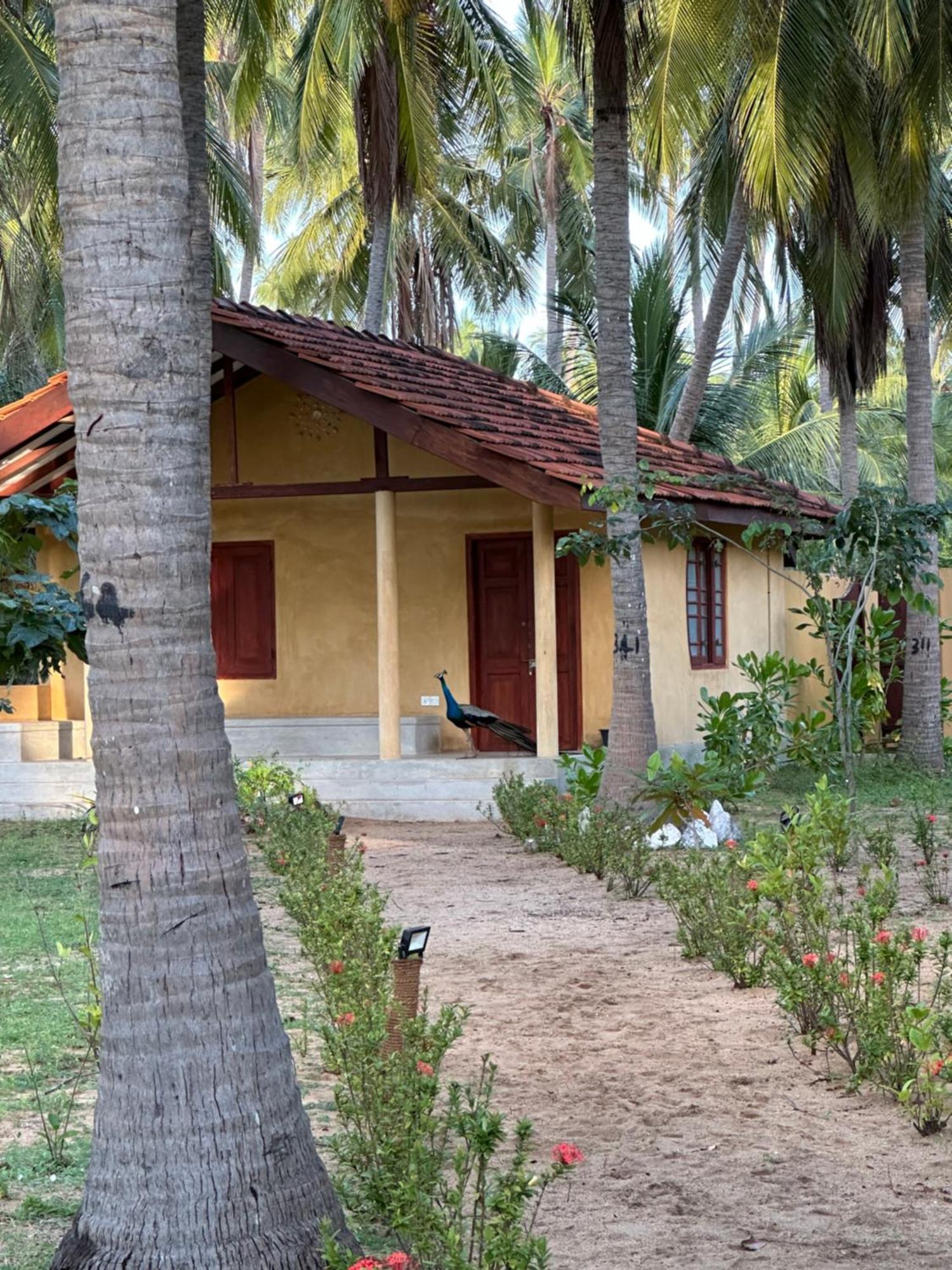 Kitelantis Hotel And Resort Kalpitiya Exterior foto